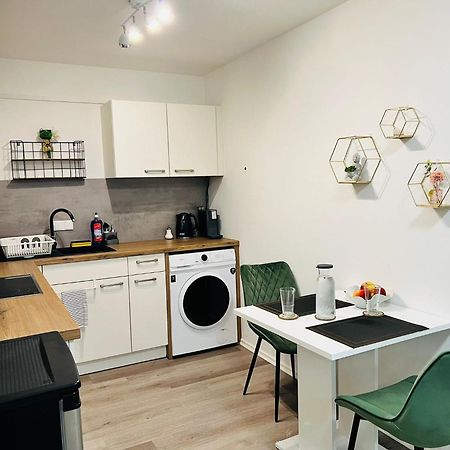 Ferienappartment In Zentraler Lage Пасау Екстериор снимка
